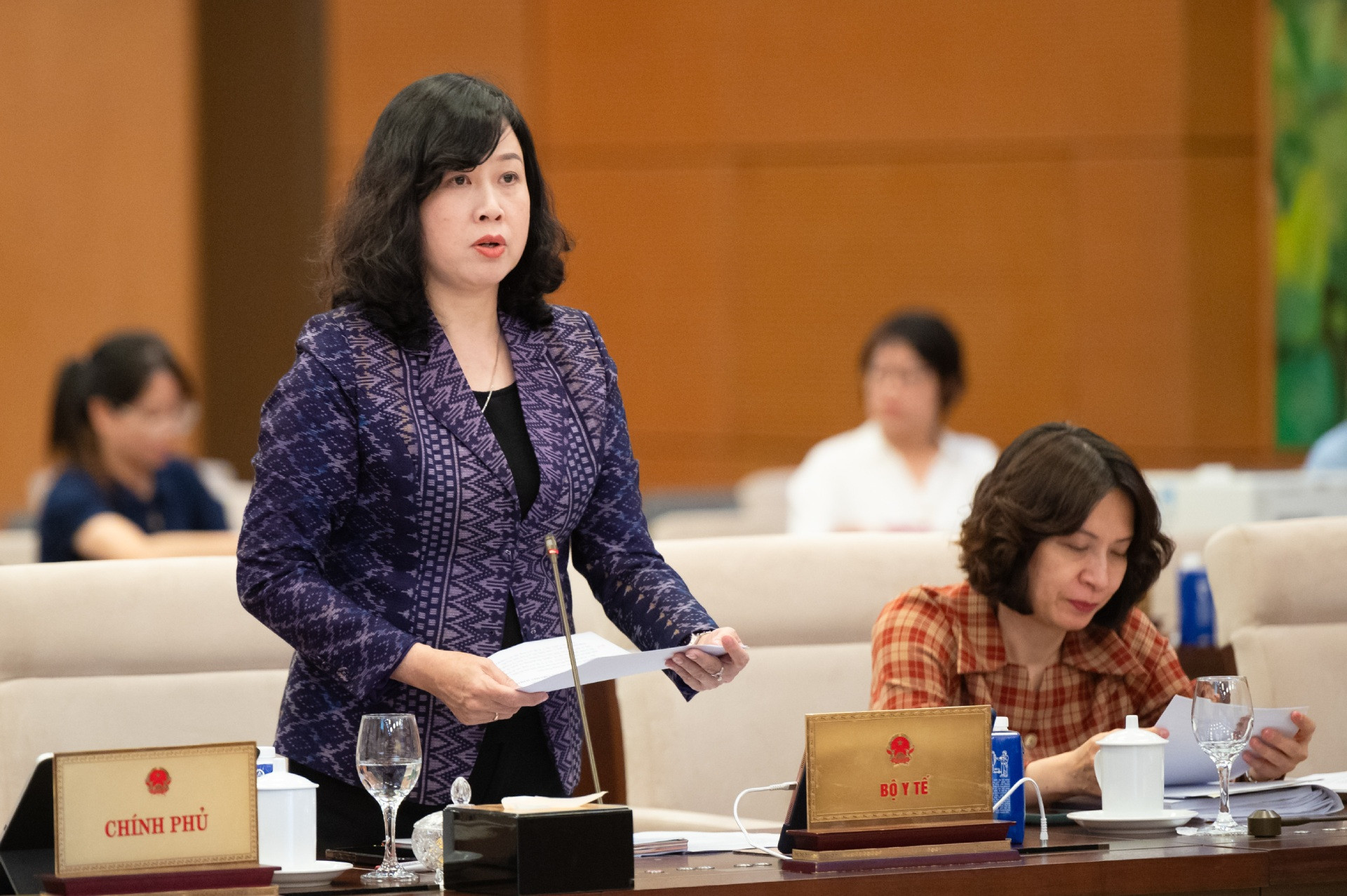 Đánh giá từ Bộ trưởng Y tế Đào Hồng Lan